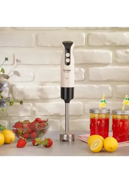 Homend Handmaid 1937H ve Schafer Meister Çubuk Blender Karşılaştırması 2