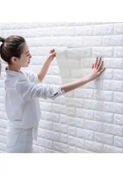 Bien Duvar Kağıtları ve Renkli Duvarlar Karşılaştırması İç Mekan Dekorasyonunda Seçenekler