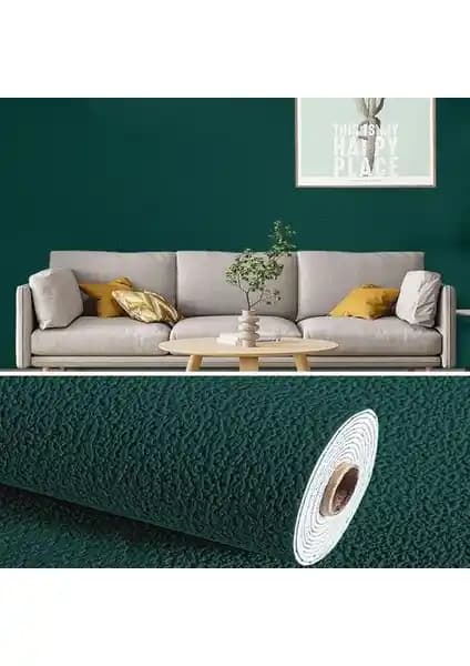 Renkli Duvarlar ve Siyah Duvar Paneli Karşılaştırması İç Mekan Dekorasyonunda Kullanım Farkları