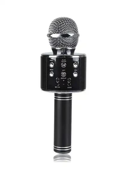 Blupple WS-858 ve Wster Ws-858 Karaoke Mikrofonları Karşılaştırması 2